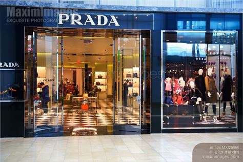 prada canada stores|can you buy Prada online.